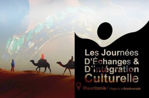 Article : Mauritanie: Cas AMAM, de la liberté d’expression à la liberté de répression